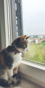 Mengapa Kusen Aluminium Semakin Populer?