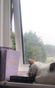 Kusen Aluminium Tahan Air dan Anti Rayap